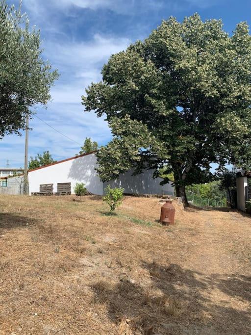 内拉什Casa Da Oliveira别墅 外观 照片