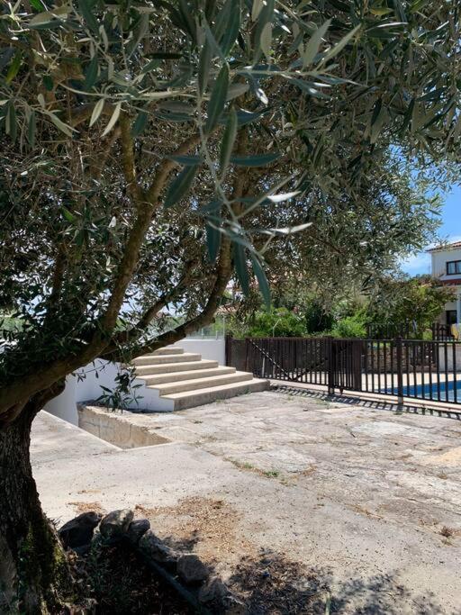 内拉什Casa Da Oliveira别墅 外观 照片